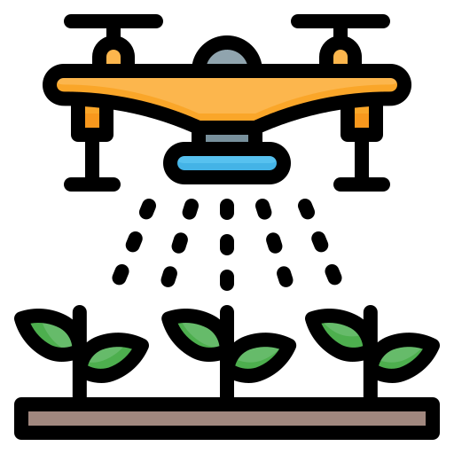 Campo e Foco